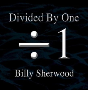 Sherwood Billy - Divided By One ryhmässä CD @ Bengans Skivbutik AB (1521261)