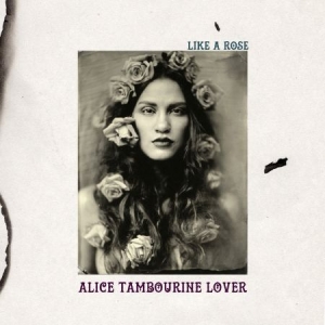 Alice Tambourine Lover - Like A Rose ryhmässä CD @ Bengans Skivbutik AB (1521369)