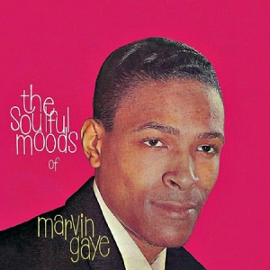 Gaye Marvin - Soulful Moods Of Marvin Gaye (Vinyl ryhmässä VINYYLI @ Bengans Skivbutik AB (1525486)