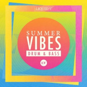 Various Artists - Summer Vibes: Drum & Bass - Mixed B ryhmässä CD @ Bengans Skivbutik AB (1525657)