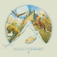 Scale The Summit - V ryhmässä VINYYLI @ Bengans Skivbutik AB (1528521)