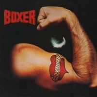 Boxer - Absolutely ryhmässä CD @ Bengans Skivbutik AB (1539797)