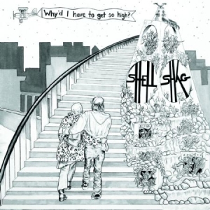 Shellshag - Why'd I Have To Get So High? ryhmässä VINYYLI @ Bengans Skivbutik AB (1541534)