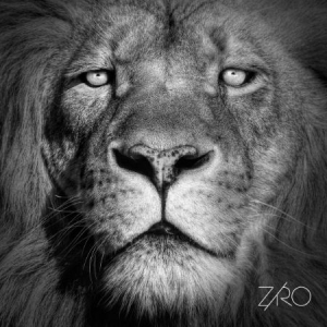 Ziro - Lionheart Ep ryhmässä VINYYLI @ Bengans Skivbutik AB (1702304)