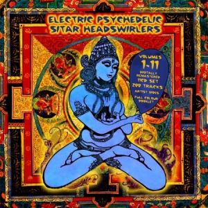 Various Artists - Electric Psychedelic Sitar Headswir ryhmässä CD @ Bengans Skivbutik AB (1712477)