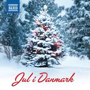 Various - Jul I Danmark ryhmässä CD @ Bengans Skivbutik AB (1713014)