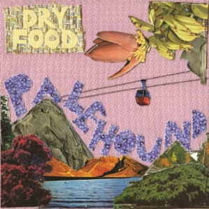 Palehound - Dry Food ryhmässä VINYYLI @ Bengans Skivbutik AB (1729718)