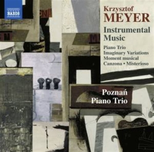 Meyer Krzysztof - Instrumental Music ryhmässä CD @ Bengans Skivbutik AB (1735007)