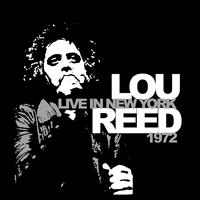 Reed  Lou - Live In New York 1972 ryhmässä ME SUOSITTELEMME / Joululahjavinkki: Vinyyli @ Bengans Skivbutik AB (1793750)