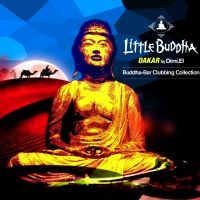 Blandade Artister - Little Buddha V ryhmässä CD @ Bengans Skivbutik AB (1795873)