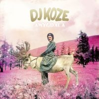 Dj Koze - Amygdala ryhmässä CD @ Bengans Skivbutik AB (1796923)