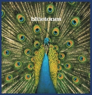 Bluetones - Expecting To Fly - 20Th Ann.Edition ryhmässä VINYYLI @ Bengans Skivbutik AB (1798114)