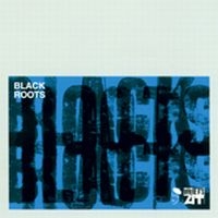 Various Artists - Black Roots ryhmässä CD @ Bengans Skivbutik AB (1810455)