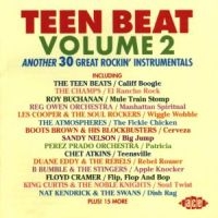 Various Artists - Teen Beat Vol 2 ryhmässä CD @ Bengans Skivbutik AB (1810813)