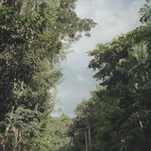 Nelson Zac - New Once ryhmässä VINYYLI @ Bengans Skivbutik AB (1842331)