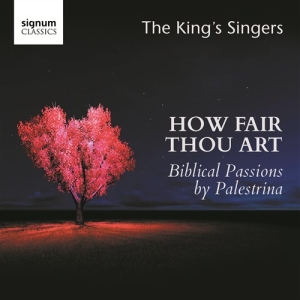 Palestrina Giovanni Pierluigi Da - How Fair Thou Art ryhmässä ME SUOSITTELEMME / Joululahjavinkki: CD @ Bengans Skivbutik AB (1847540)