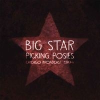 Big Star - Picking Posies ryhmässä VINYYLI @ Bengans Skivbutik AB (1847673)