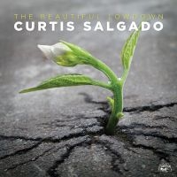 Salgado Curtis - Beautiful Lowdown ryhmässä CD @ Bengans Skivbutik AB (1868256)