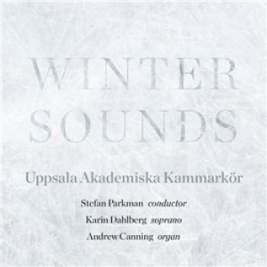 Various Artists - Winter Sounds ryhmässä CD @ Bengans Skivbutik AB (1871647)