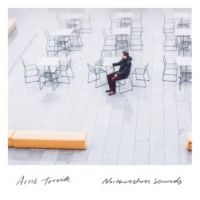 Torvik Arne - Northwestern Sounds ryhmässä CD @ Bengans Skivbutik AB (1874336)