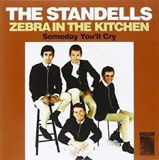 Standells The - Zebra In The Kitchen / Someday You' ryhmässä ME SUOSITTELEMME / Klassiska lablar / Sundazed / Sundazed Vinyl @ Bengans Skivbutik AB (1876426)