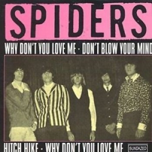 Spiders The - Why Don't You Love Me / Hitch Hike ryhmässä ME SUOSITTELEMME / Klassiska lablar / Sundazed / Sundazed Vinyl @ Bengans Skivbutik AB (1876471)