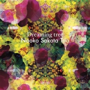 Nst - Naoko Sakata Trio - Dreaming Tree ryhmässä CD @ Bengans Skivbutik AB (1877576)