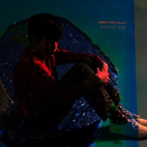 Whyte Horses - Pop Or Not ryhmässä CD @ Bengans Skivbutik AB (1883832)