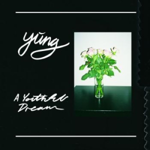 Yung - A Youthful Dream ryhmässä VINYYLI @ Bengans Skivbutik AB (1890979)