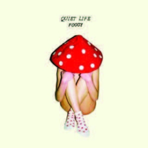 Quiet Life - Foggy ryhmässä CD @ Bengans Skivbutik AB (1909910)