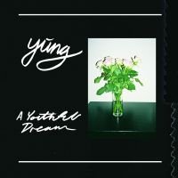 Yung - A Youthful Dream - Ltd.Ed. ryhmässä VINYYLI @ Bengans Skivbutik AB (1914617)