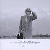 David Sylvian - A Victim Of Stars 1981-2011 (2CD) ryhmässä CD @ Bengans Skivbutik AB (1921421)