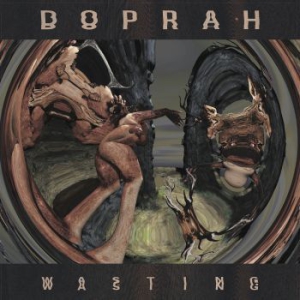 Doprah - Wasting ryhmässä VINYYLI @ Bengans Skivbutik AB (1923042)