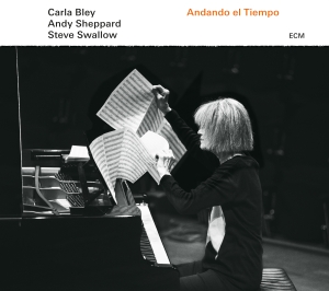 Carla Bleysteve Swallow Andy Shep - Andando El Tiempo ryhmässä VINYYLI @ Bengans Skivbutik AB (1946632)