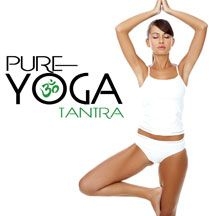 Various Artists - Pure Yoga Tantra ryhmässä CD @ Bengans Skivbutik AB (1951312)