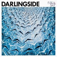 Darlingside - Birds Say ryhmässä VINYYLI @ Bengans Skivbutik AB (1951419)