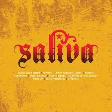 Saliva - Icon ryhmässä CD @ Bengans Skivbutik AB (1954118)