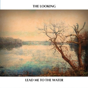 Looking - Lead Me To The Water ryhmässä CD @ Bengans Skivbutik AB (1977238)