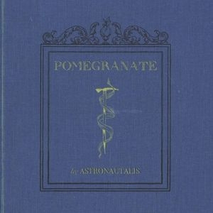 Astronautalis - Pomegranate ryhmässä VINYYLI @ Bengans Skivbutik AB (1977271)