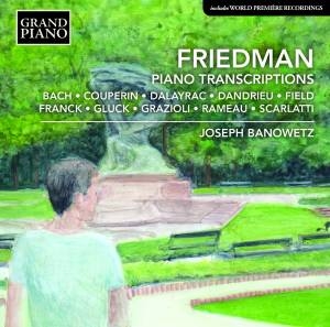 Friedman Ignaz - Piano Transcriptions ryhmässä ME SUOSITTELEMME / Joululahjavinkki: CD @ Bengans Skivbutik AB (2003516)