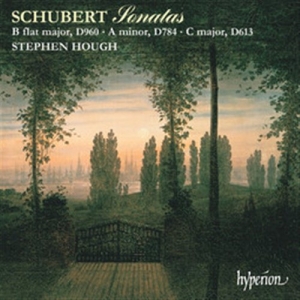 Schubert Franz - Piano Sonatas D 960, 784 & 613 ryhmässä CD @ Bengans Skivbutik AB (2007806)