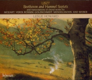 Liszt Franz - Complete Piano Works 24 /Septe ryhmässä CD @ Bengans Skivbutik AB (2007849)