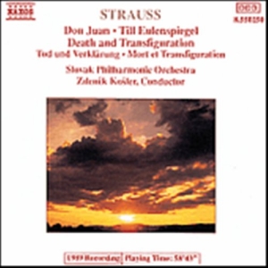 Strauss Richard - Don Juan ryhmässä ME SUOSITTELEMME / Joululahjavinkki: CD @ Bengans Skivbutik AB (2009402)