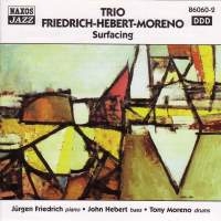 Trio Friedrich-Hebert-Moreno - Surfacing ryhmässä CD @ Bengans Skivbutik AB (2010033)