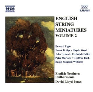 Various - Eng String Miniatures 2 ryhmässä CD @ Bengans Skivbutik AB (2010786)