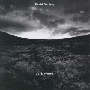 Darling David - Dark Wood ryhmässä CD @ Bengans Skivbutik AB (2012861)