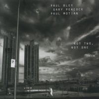 Bley Paul - Not Two, Not One ryhmässä CD @ Bengans Skivbutik AB (2012886)