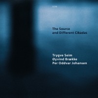 Seim Trygve - The Source And Different Cikadas ryhmässä CD @ Bengans Skivbutik AB (2012907)