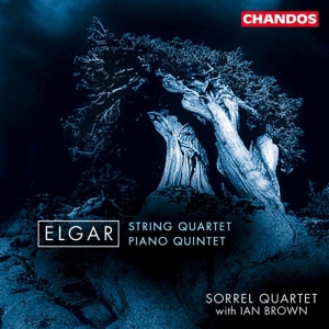 Elgar - String Quartet And Piano Quint ryhmässä ME SUOSITTELEMME / Joululahjavinkki: CD @ Bengans Skivbutik AB (2013368)