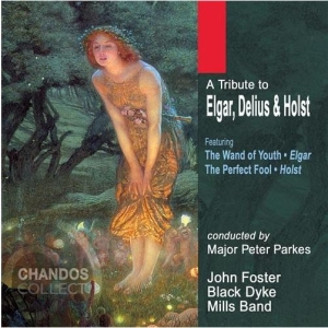 Various - Tribute To Elgar / Delius / Ho ryhmässä ME SUOSITTELEMME / Joululahjavinkki: CD @ Bengans Skivbutik AB (2013791)